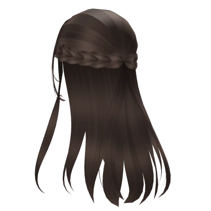  ♡ Long Flowy Braided Anime Hair in Brown