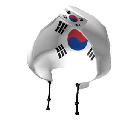 South Korea Flag Hat Hoodie