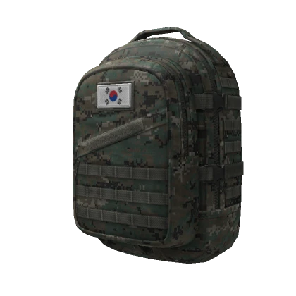 ROKPAT Assault Pack [Flag]