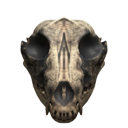 Infected Wolf Skull