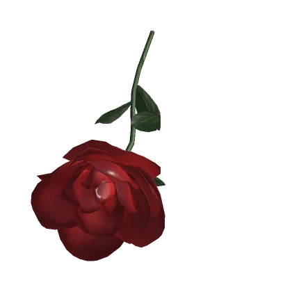 Holdable Valentine's Rose