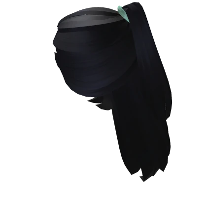 Hong Lu Accurate Ponytail