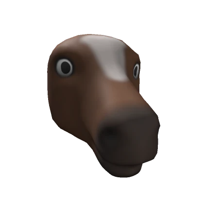 Horse Head