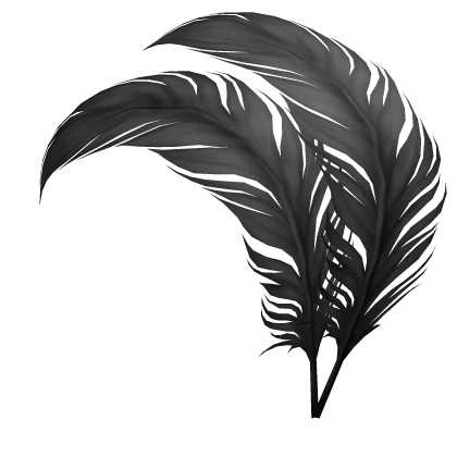 2 Black Decorative Feathers