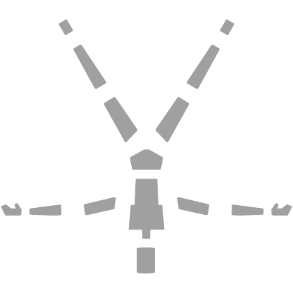 Extended Spin