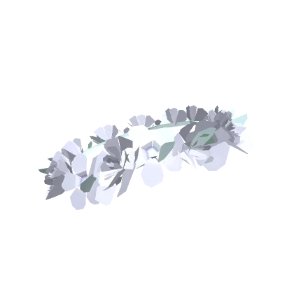 White Crown of flowers