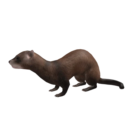 Cute Ferret 🦦 Funny Troll Animal Shoulder Pal