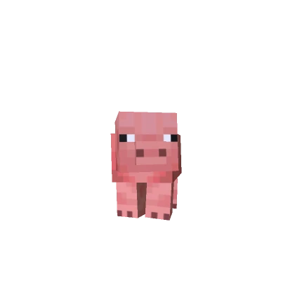 Mini Pig
