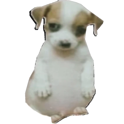 Paunchy cute Dog