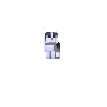 Super Mini Cat