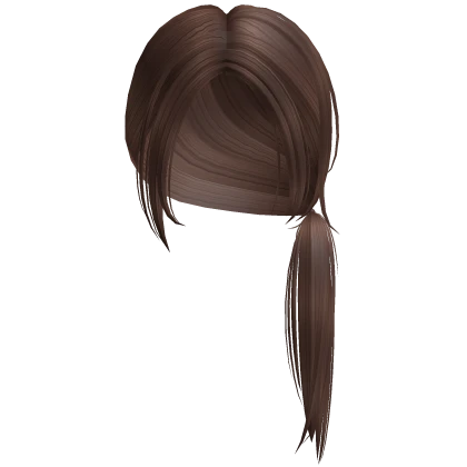 Messy Low Ponytail in Brown