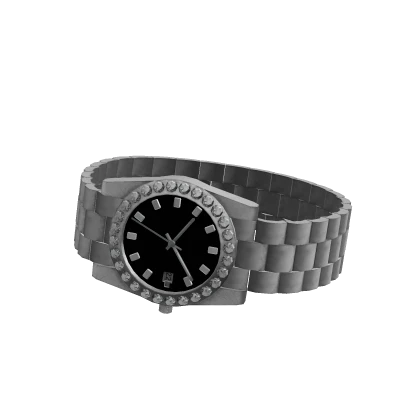 Silver & Black Watch