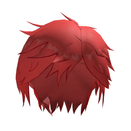 Reinhar Sword Saint Hair