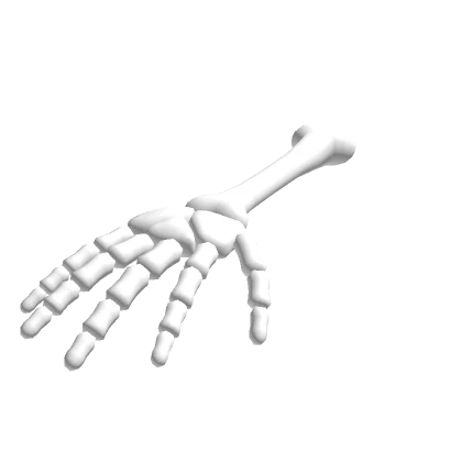 Skeleton Arm R (HAND)