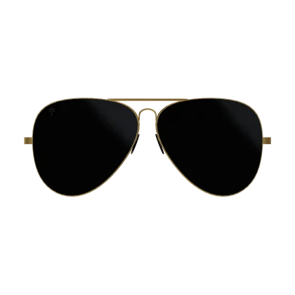 Classic Aviator Sunglasses
