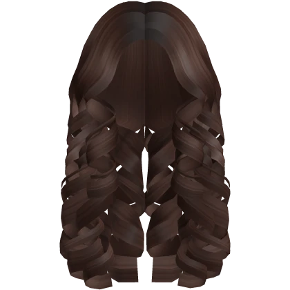 Long Super Curly Fluffy Brown Hair