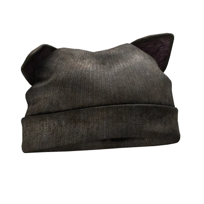 cat ears beanie