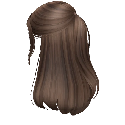 Soft Half-up Ponytail in Brown