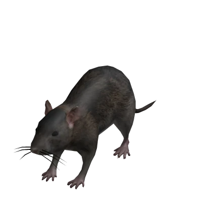 Tiny Rat Suit