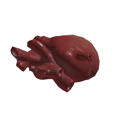 Realistic Heart (Hand)