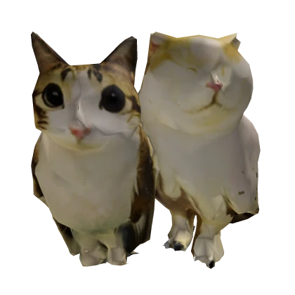 owl cat species meowl