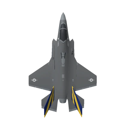  F35 Gray Jet (Back)