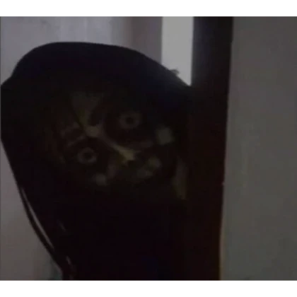 Horror Scary Face Creature Creepy Unnerving Cursed
