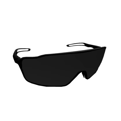 Ballistic Sunglasses
