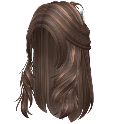 Layered Clipped Half Up Hair in Brown Highlights