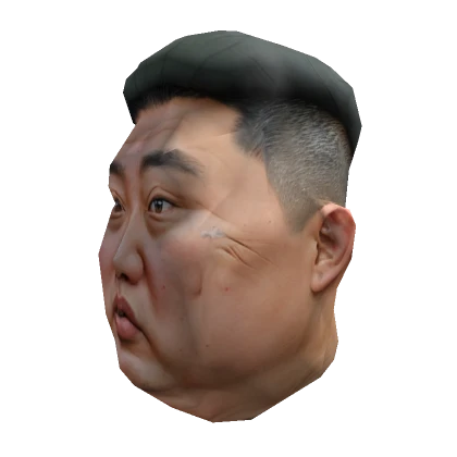 Realistic Man Head Kim