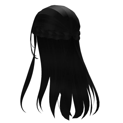  ♡ Long Flowy Braided Anime Hair in Black