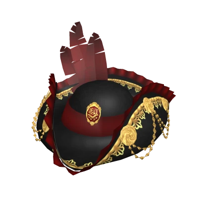 Elegant pirate hat with feathers