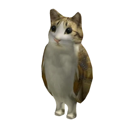 Meowl Meme