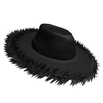 Black Fur Wide Brim Hat