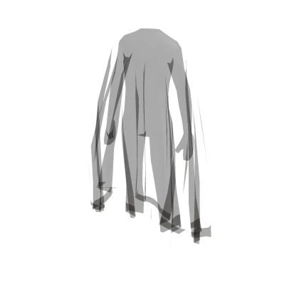 Black Transparent Cloak