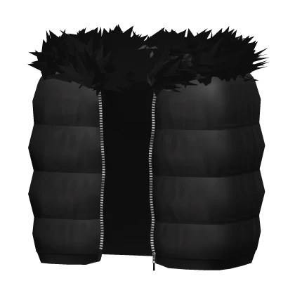 Puffer Vest w/ Fur