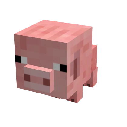 Mini Pig Suit