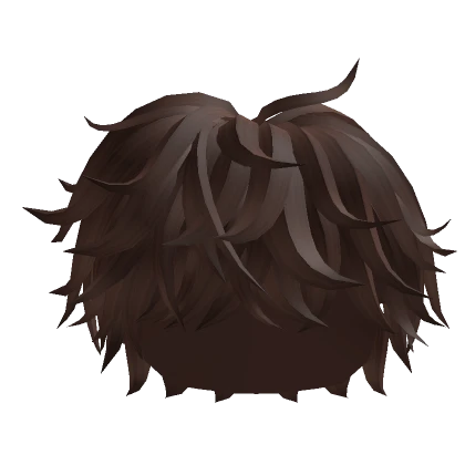 Fluffy Messy Cool Boy Hair (Brown)