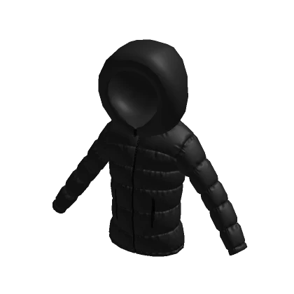 Black Hooded Puffy Jacket