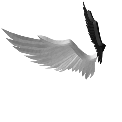 White & Black Wings