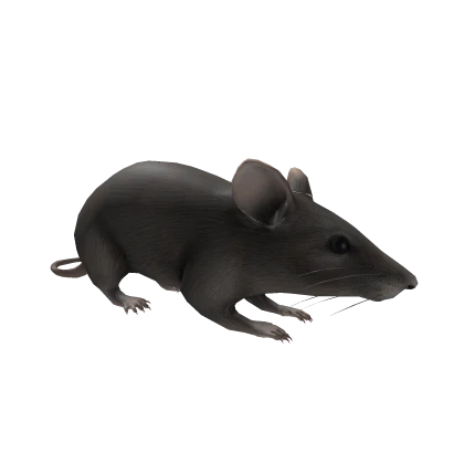 Cute Mouse 🐭 Sitting On Your Shoulder