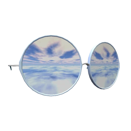 Rounded Classic Skybox Sunglasses