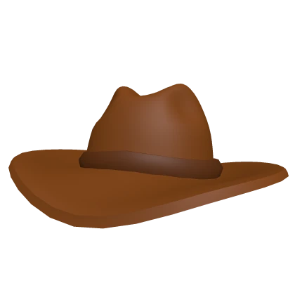 Brown Cowboy Hat
