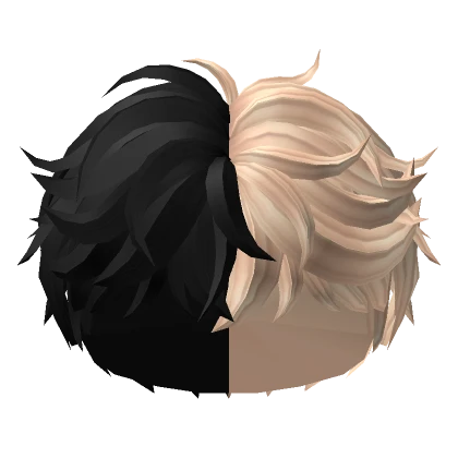 Wavy Full Messy Boy Hair (Split Black Blonde)