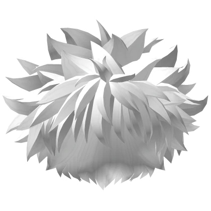White Fluffy Zoldyck Hair