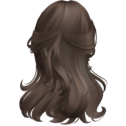 ♡ Long Half Up Half Down Swirls in Brown