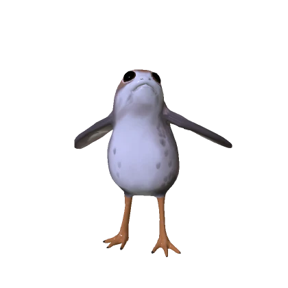 Porg Owl Bundle