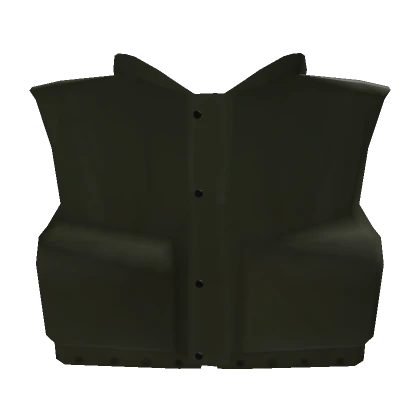 M1955 Flak Vest