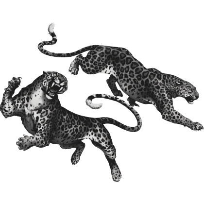 Leopard Animal Tropical McBling Harajuku in Black