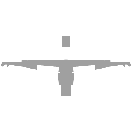 Helicopter